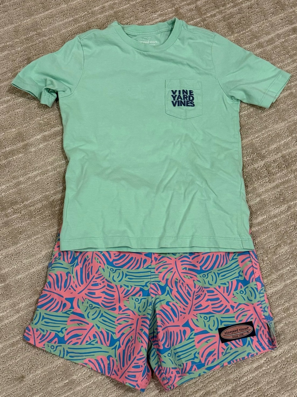 Kids Vineyard Vines short-sleeve tee and swim trunks set